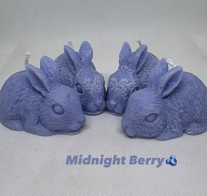 Hoppy Harvest Collection