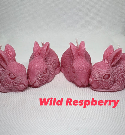 Hoppy Harvest Collection