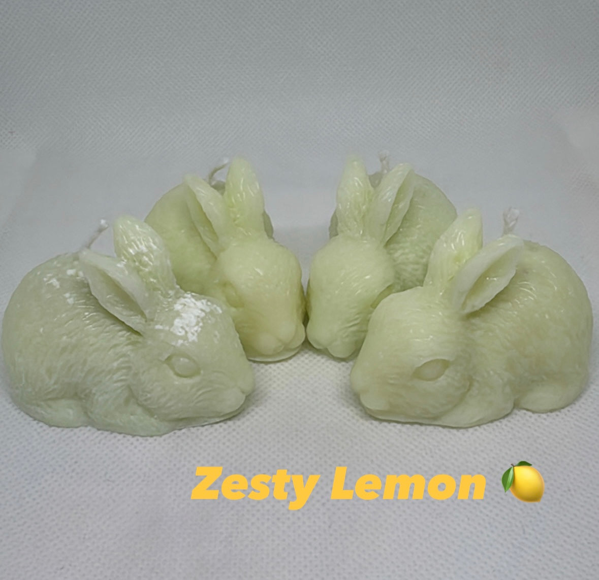 Hoppy Harvest Collection