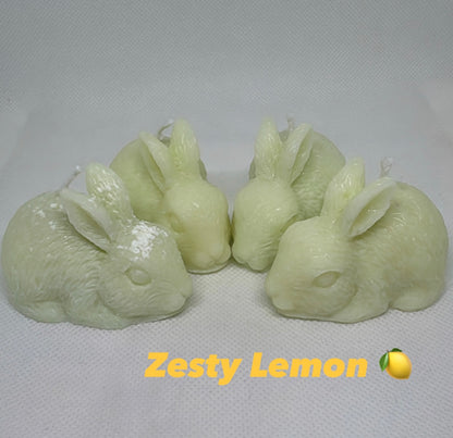 Hoppy Harvest Collection