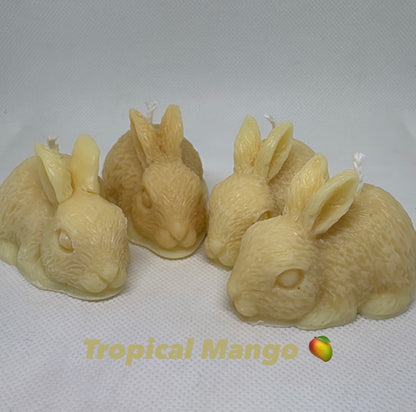 Hoppy Harvest Collection