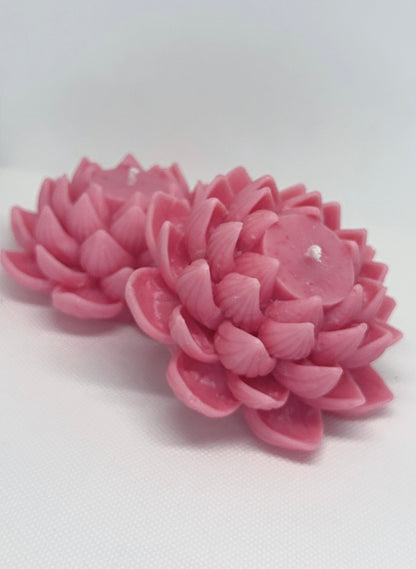 Serene Lotus Blossom