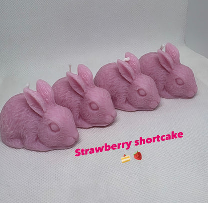 Hoppy Harvest Collection