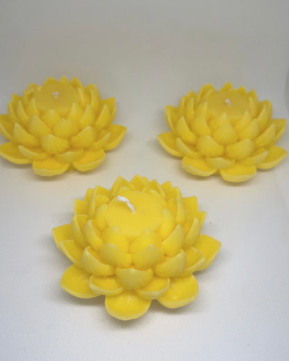 Serene Lotus Blossom