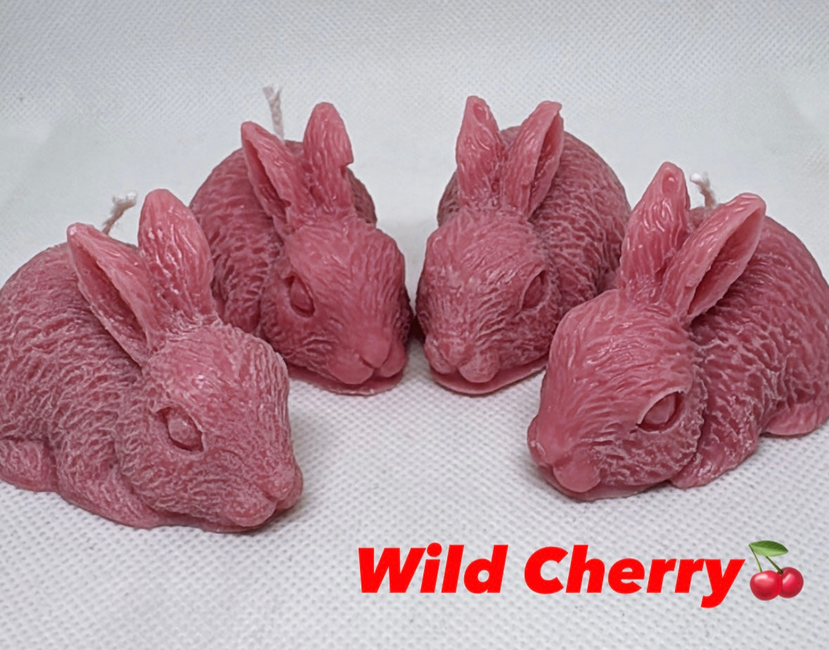 Hoppy Harvest Collection