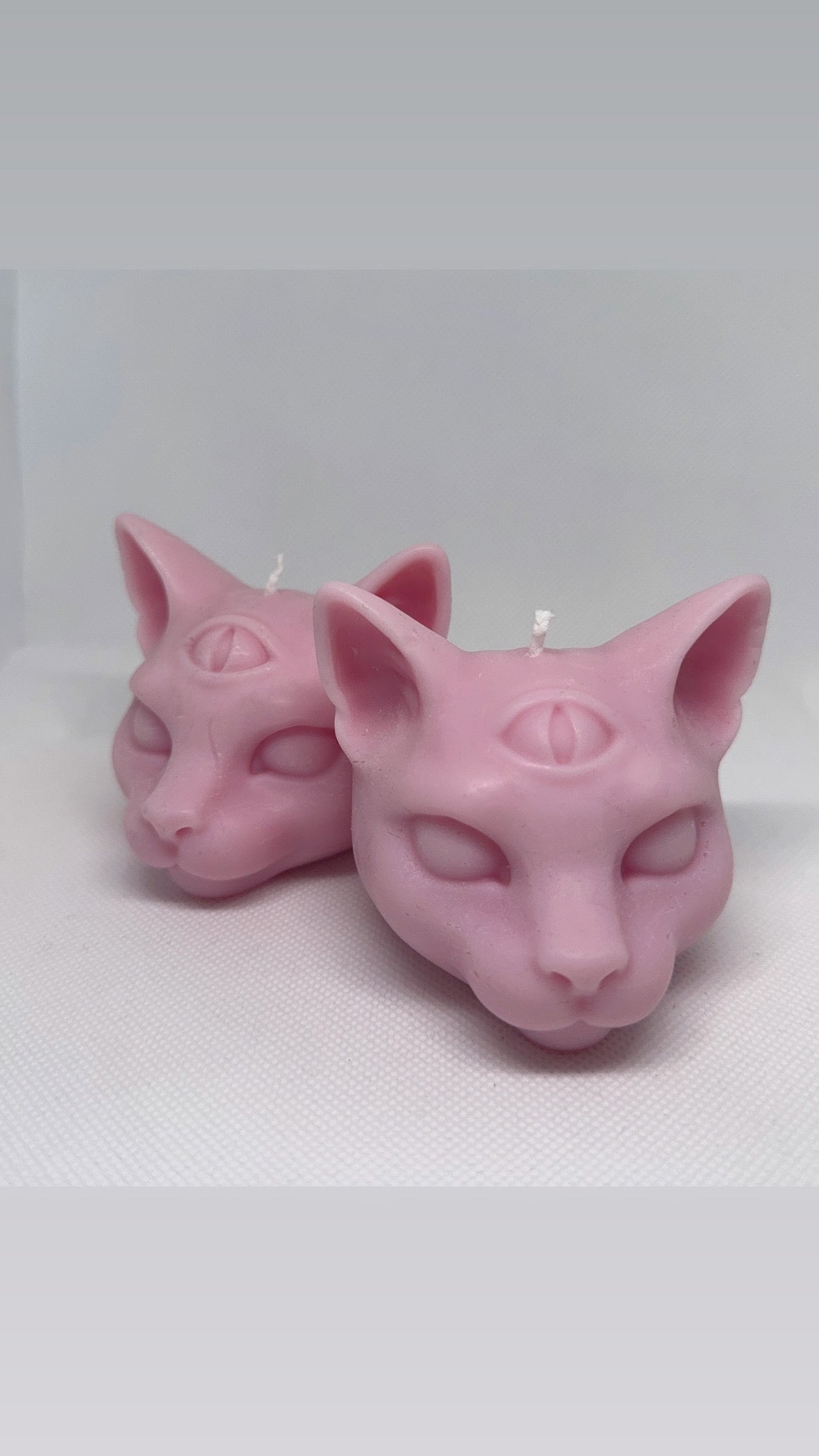 3 Eyed cat