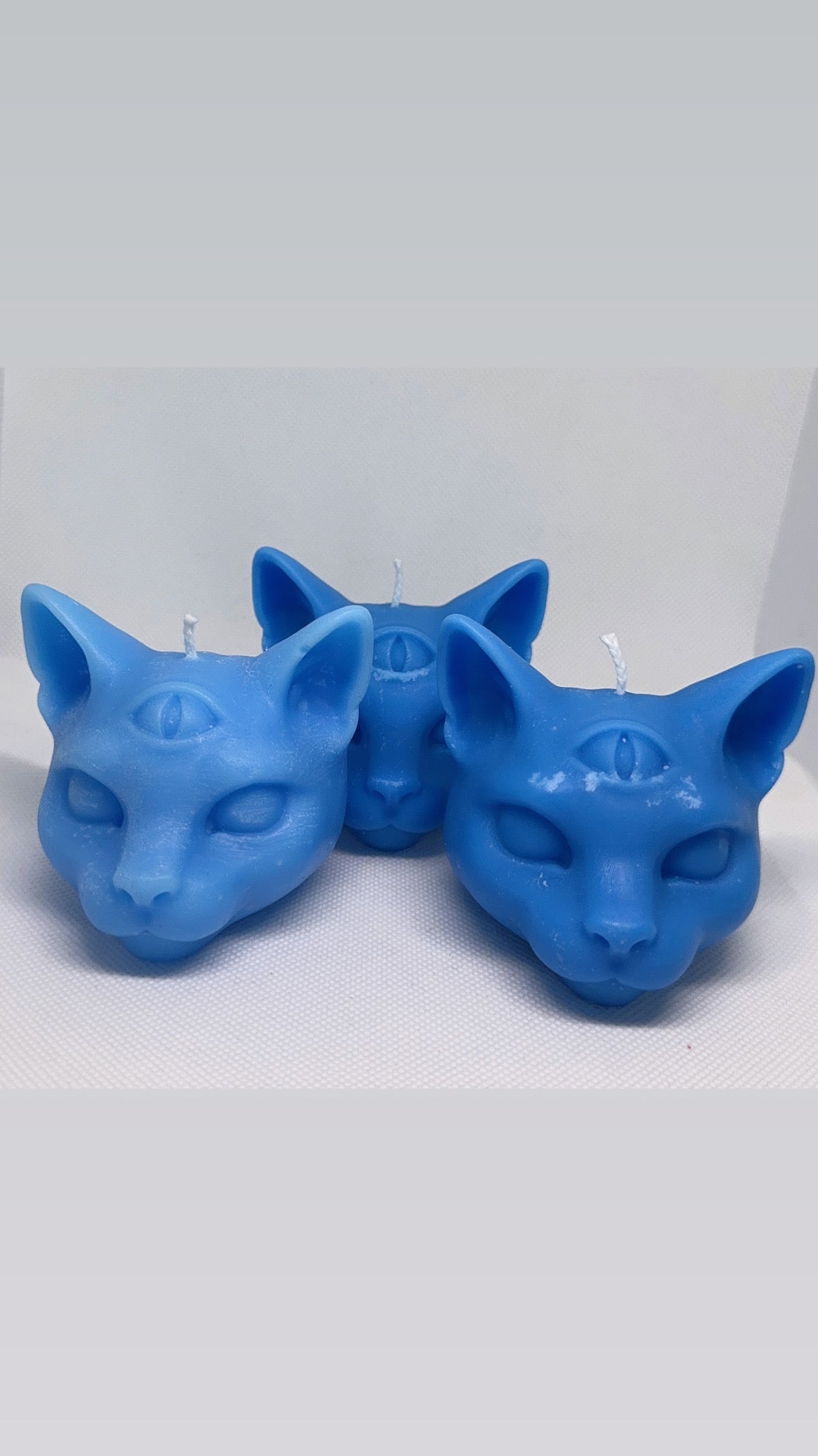 3 Eyed cat