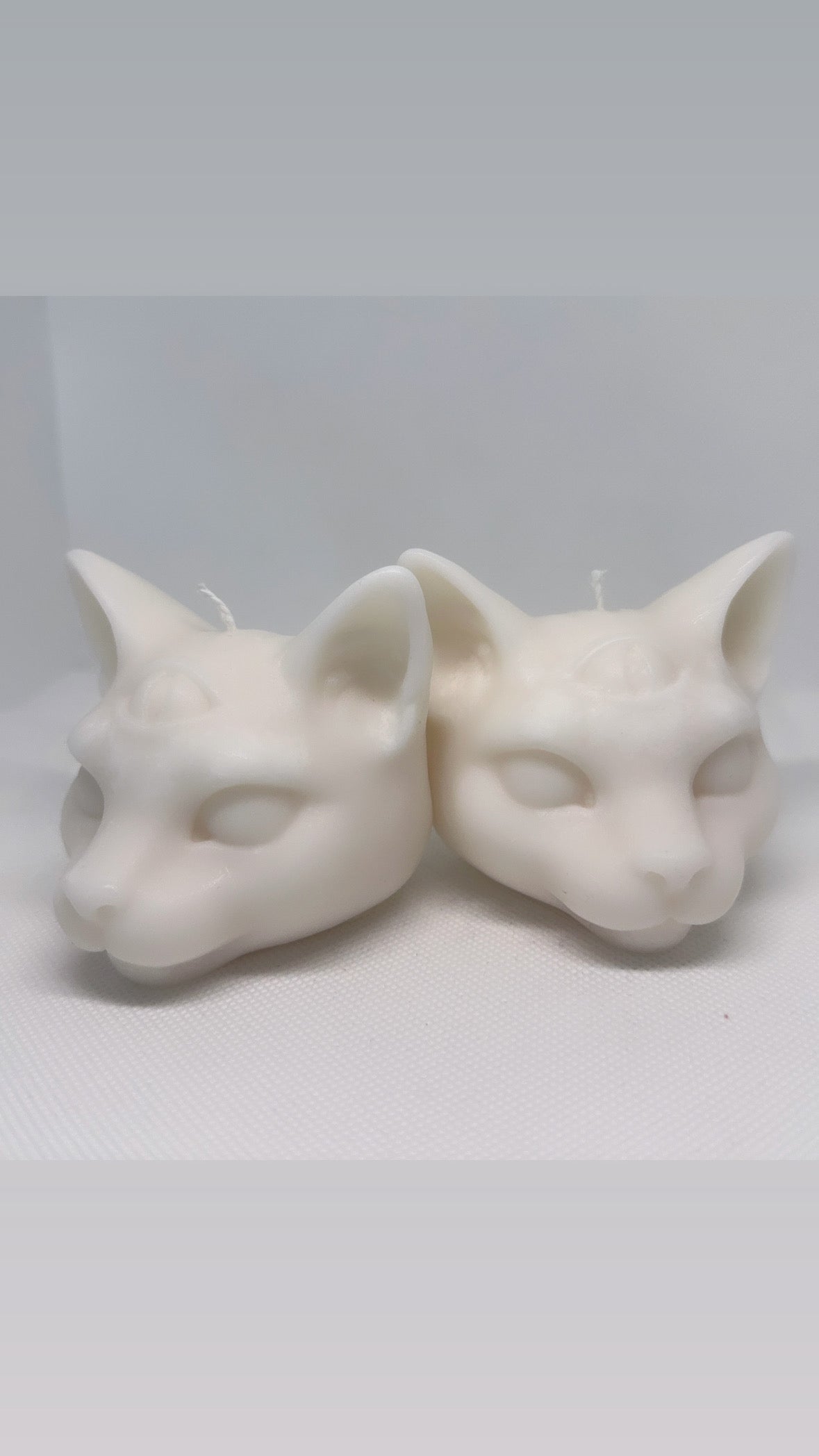 3 Eyed cat