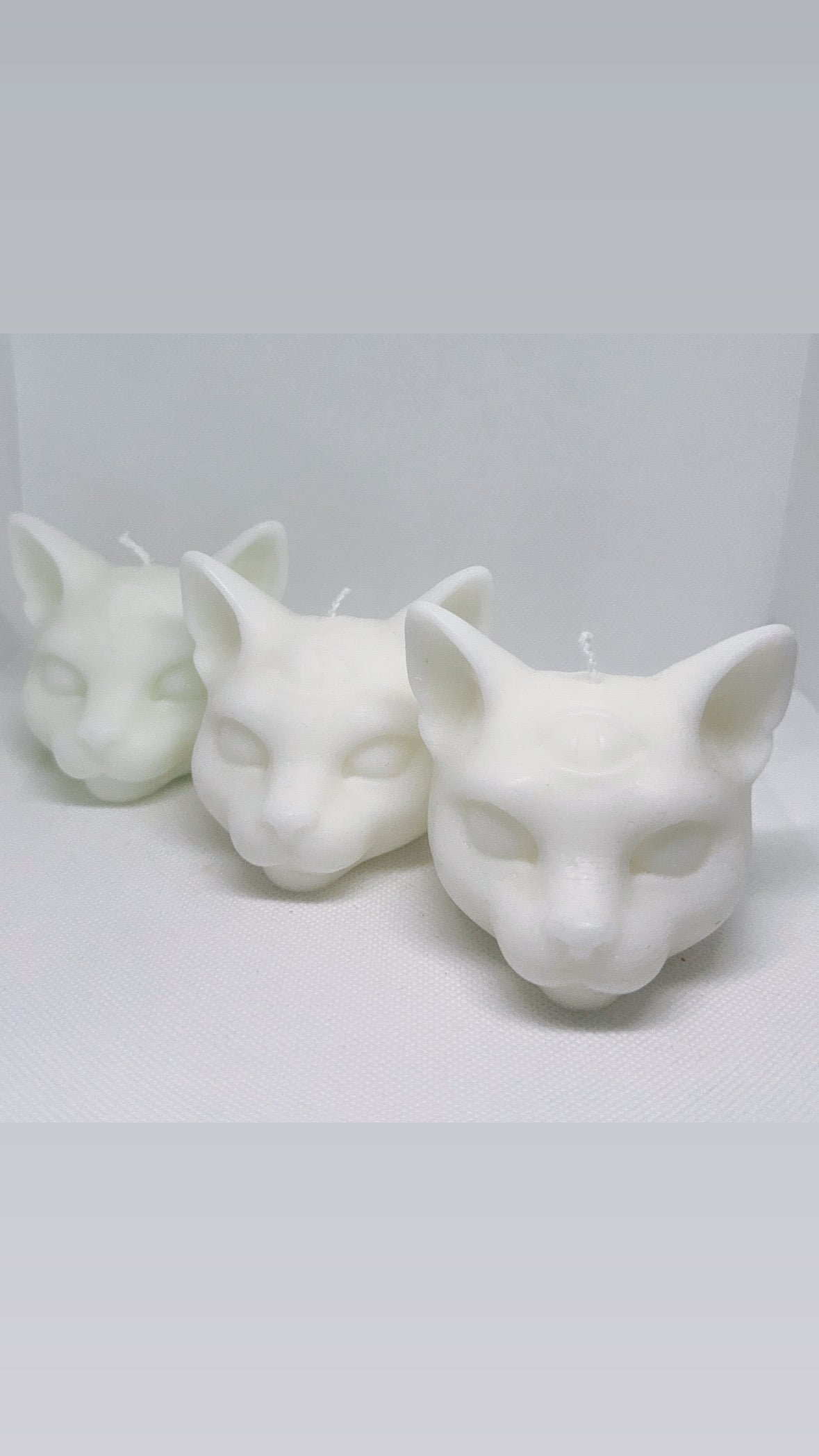 3 Eyed cat