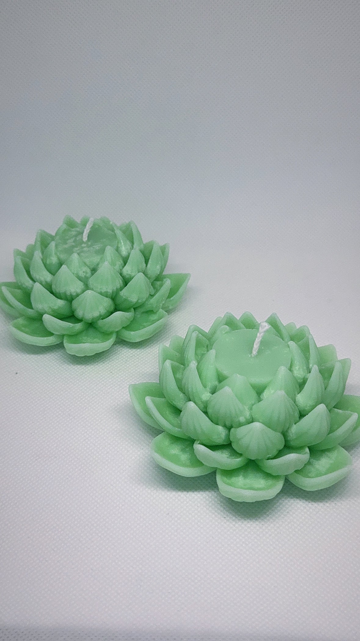 Serene Lotus Blossom
