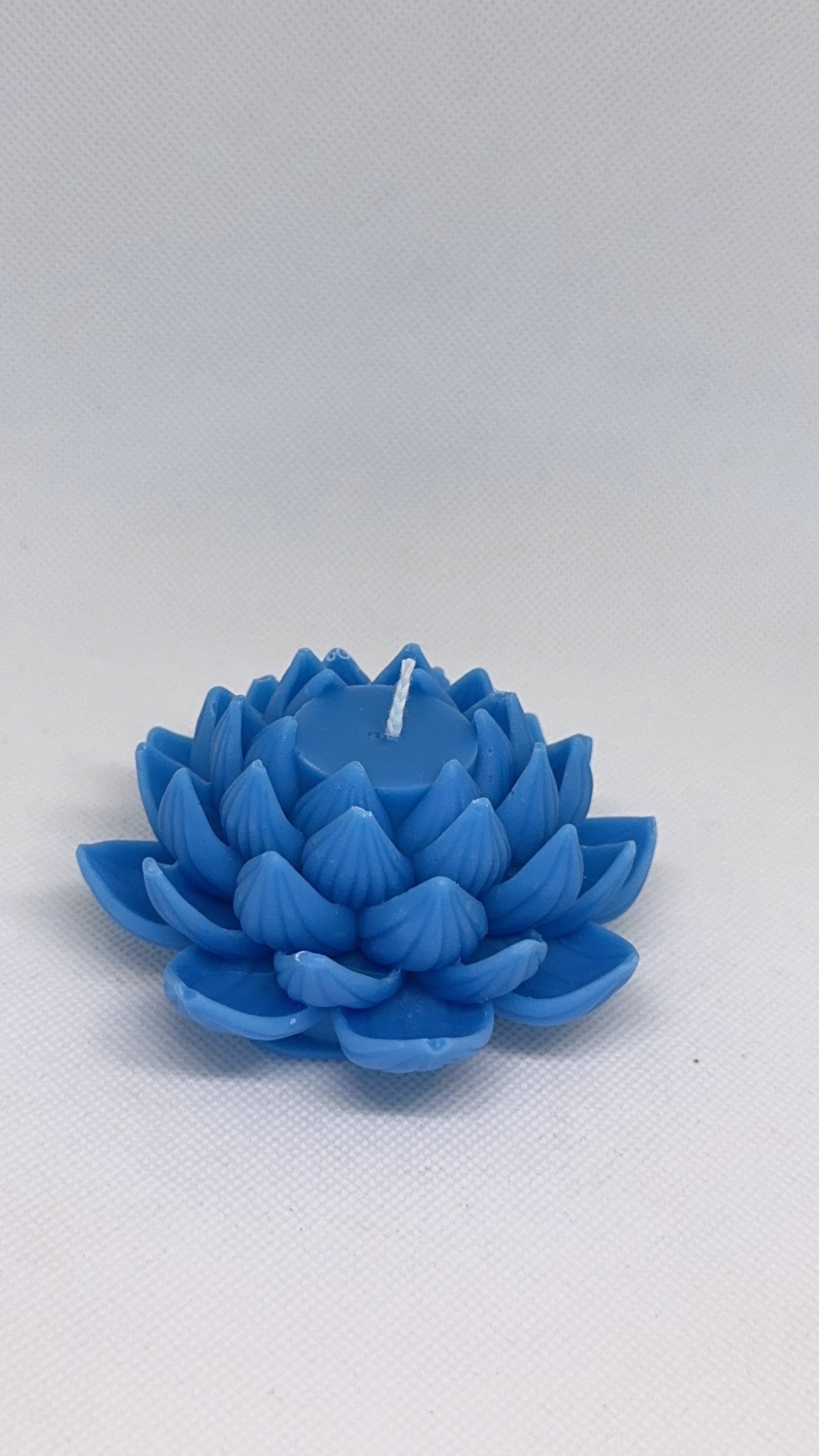 Serene Lotus Blossom